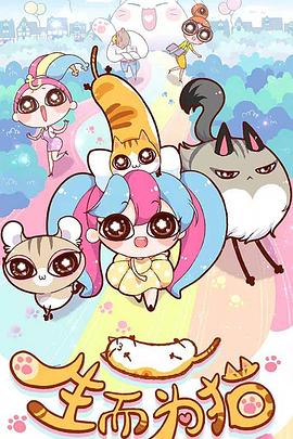 广州seo公司怎么注册